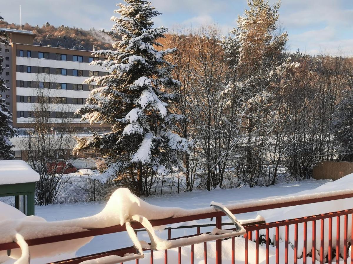 Penzion Zornicka Bardejovské Kúpele Exterior foto