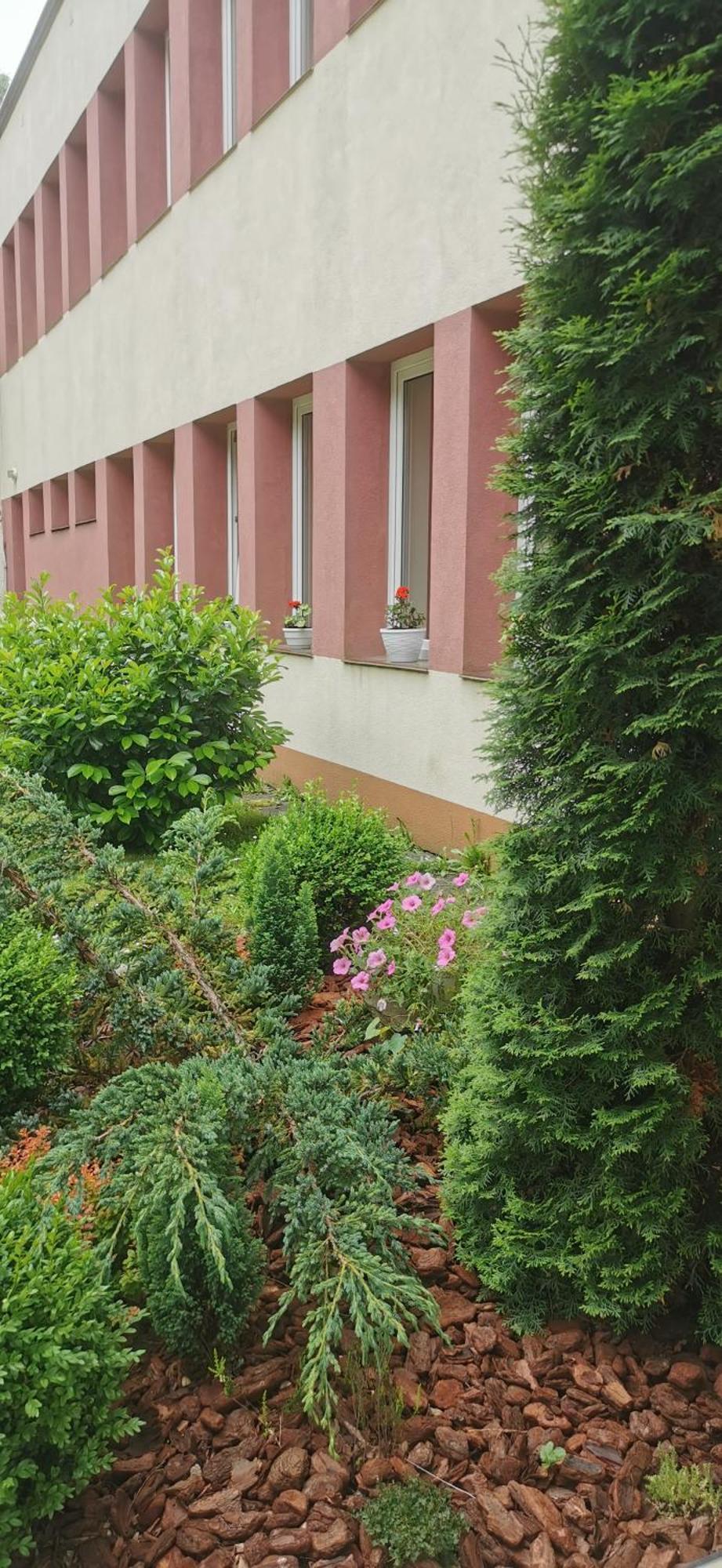 Penzion Zornicka Bardejovské Kúpele Exterior foto