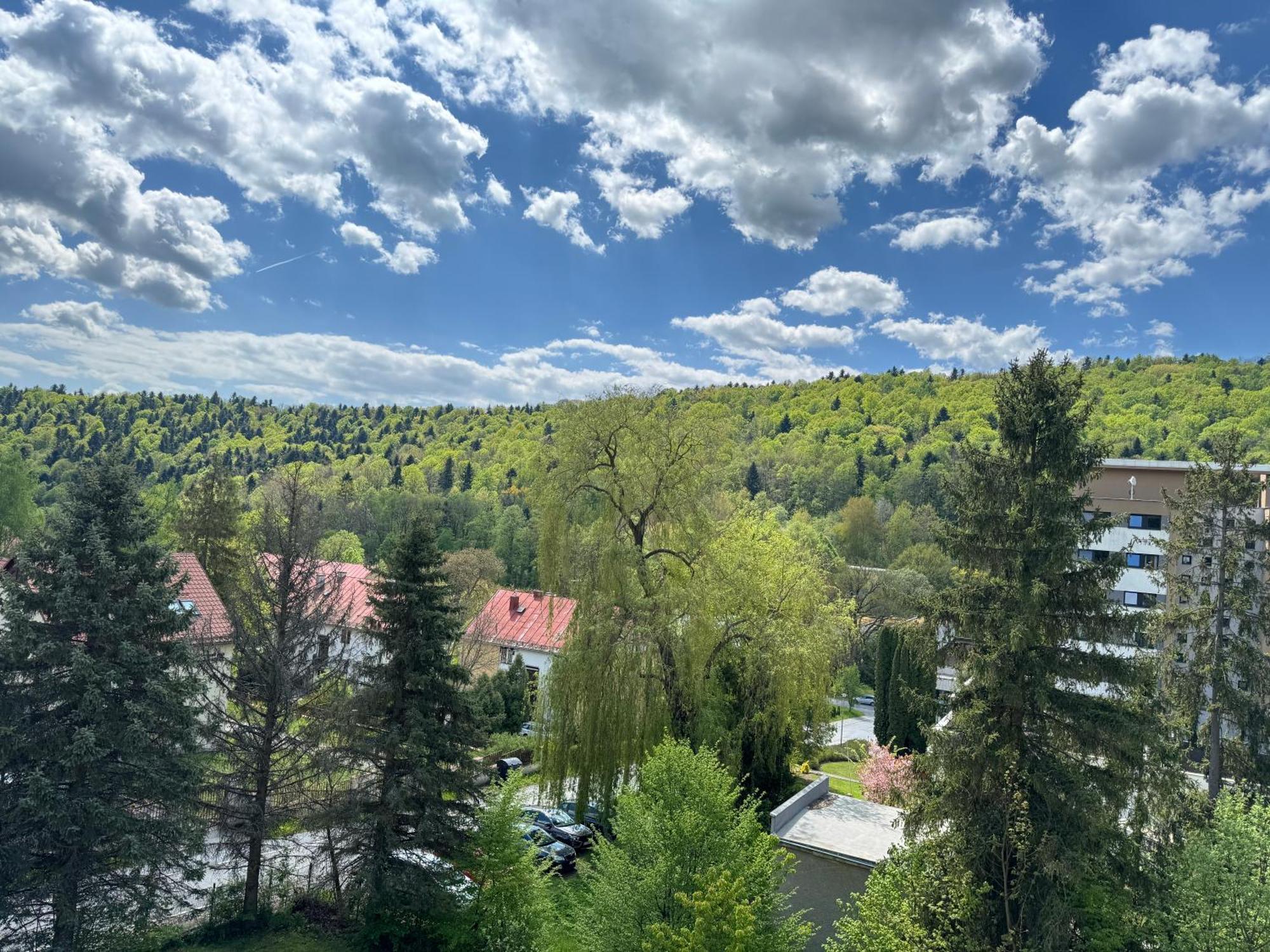 Penzion Zornicka Bardejovské Kúpele Exterior foto