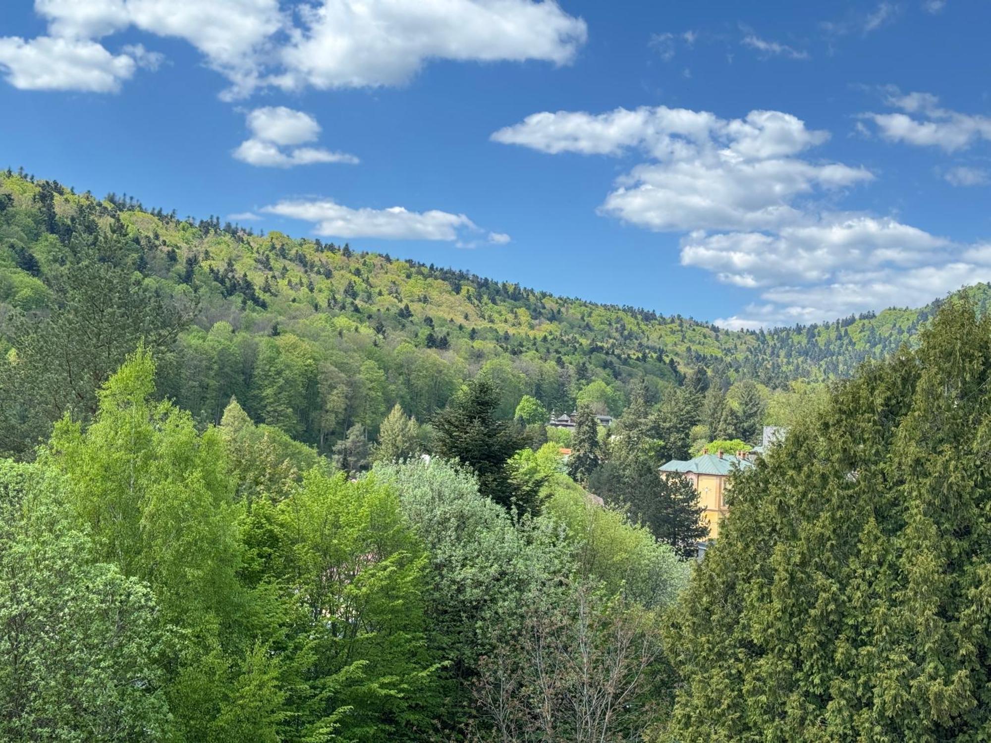 Penzion Zornicka Bardejovské Kúpele Exterior foto