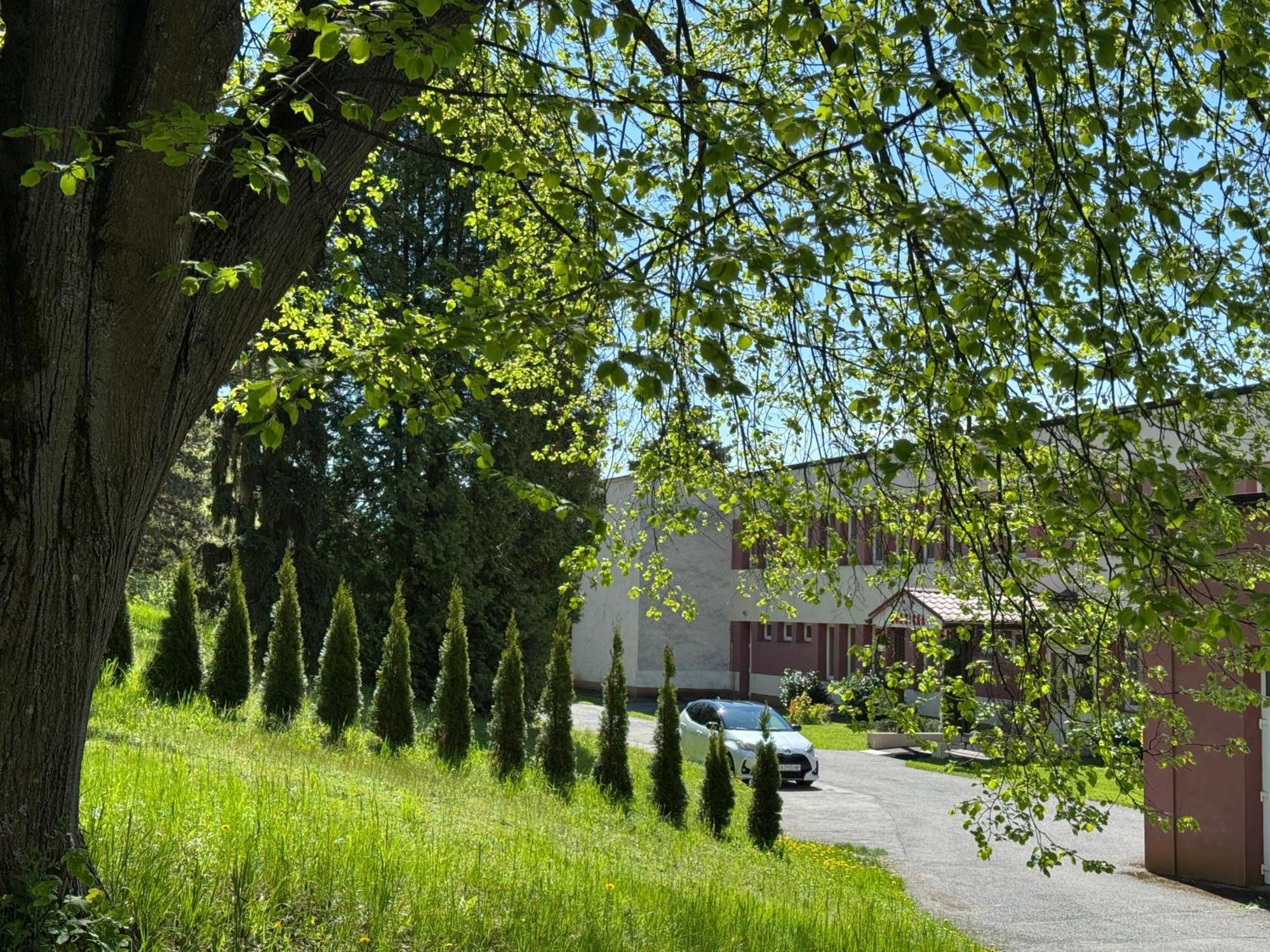 Penzion Zornicka Bardejovské Kúpele Exterior foto