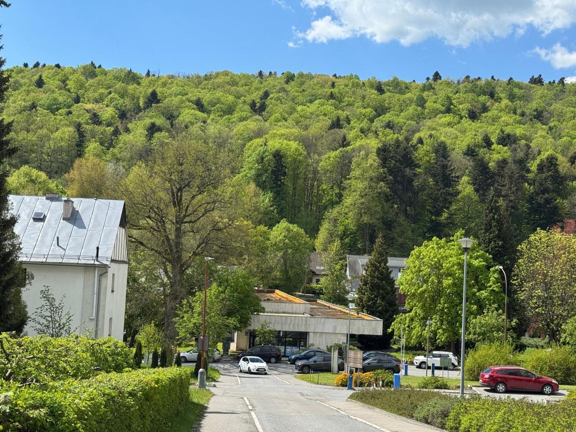 Penzion Zornicka Bardejovské Kúpele Exterior foto